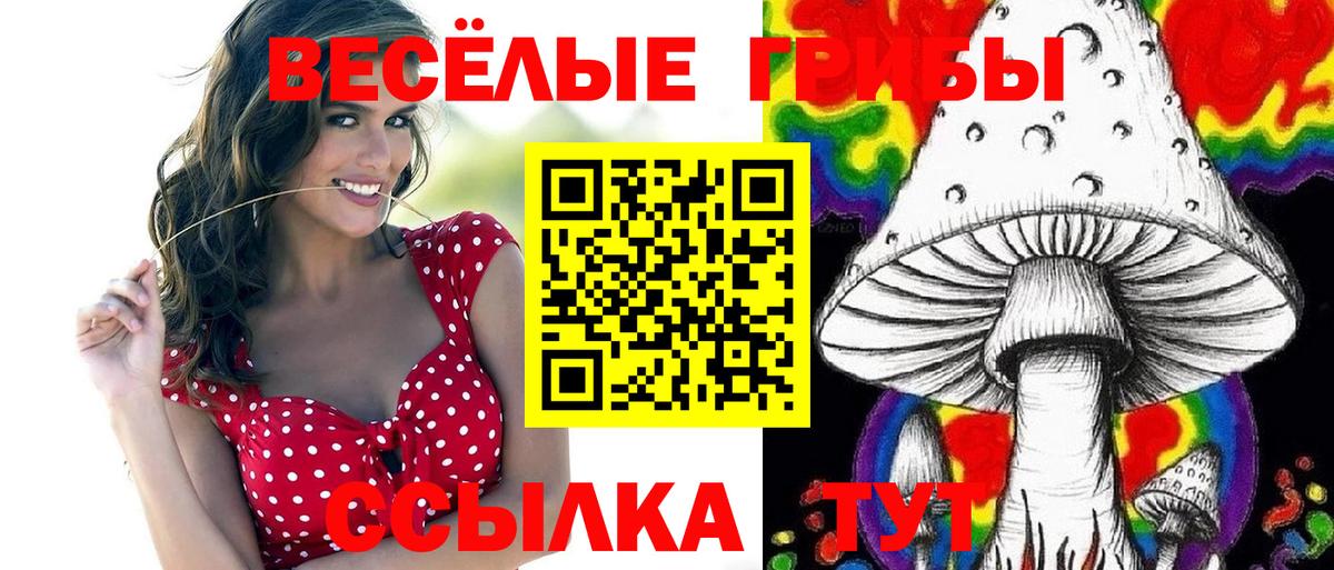 Ишимбай  Галлюциногенные грибы прущие грибы  наркота  Вход с VPN 